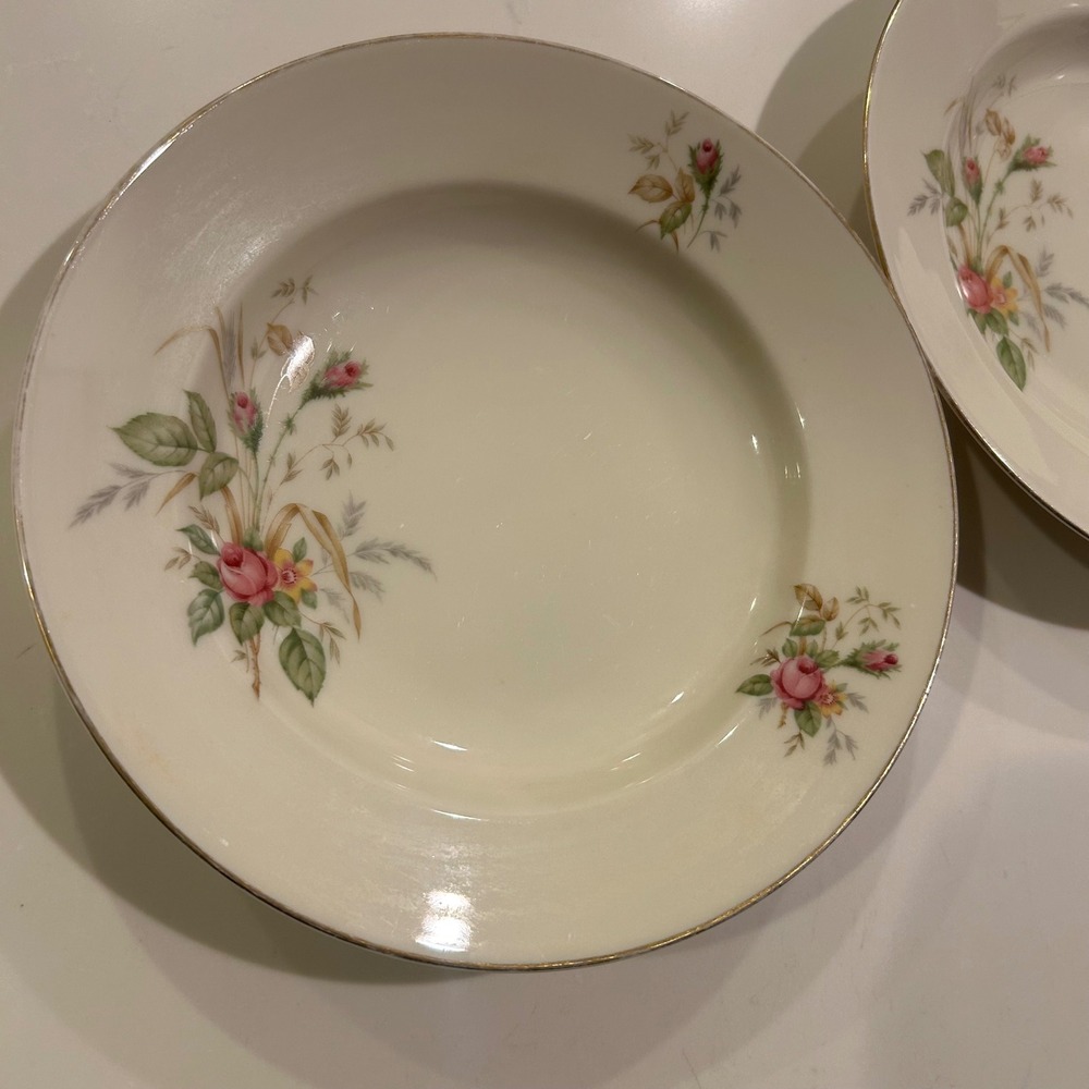 2 Thomas Germany Soup Bowls 07470 Ivory Pink Rose Floral Gold Rim 8.25"